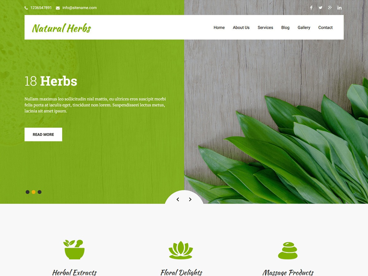 Natural Herbs Lite WordPress ecommerce theme
