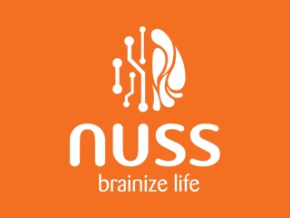 Nuss WordPress theme