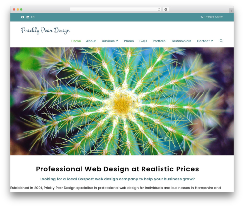 OceanWP best free WordPress theme - pricklypeardesign.com