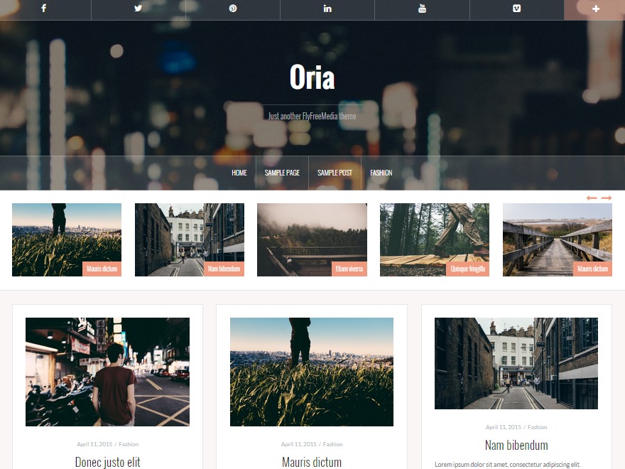 Oria free WordPress theme