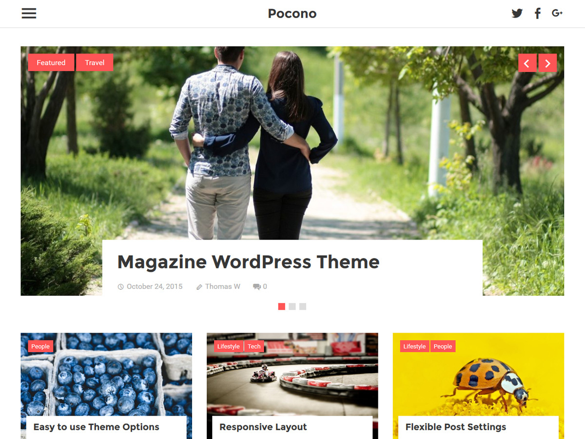 Pocono WordPress theme free download