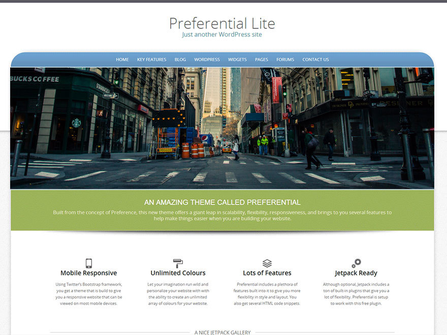 Preferential Lite WordPress theme free download