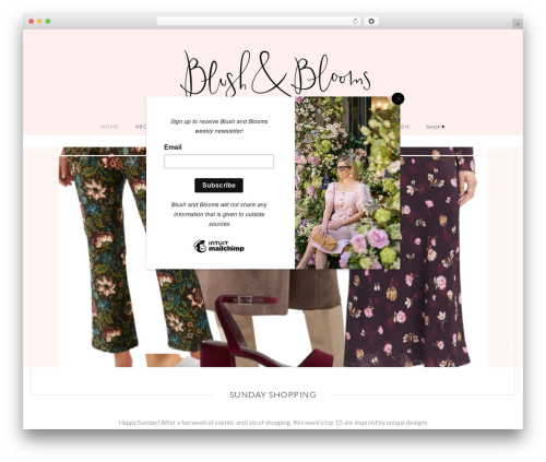 Rachel fashion WordPress theme - blushandblooms.com