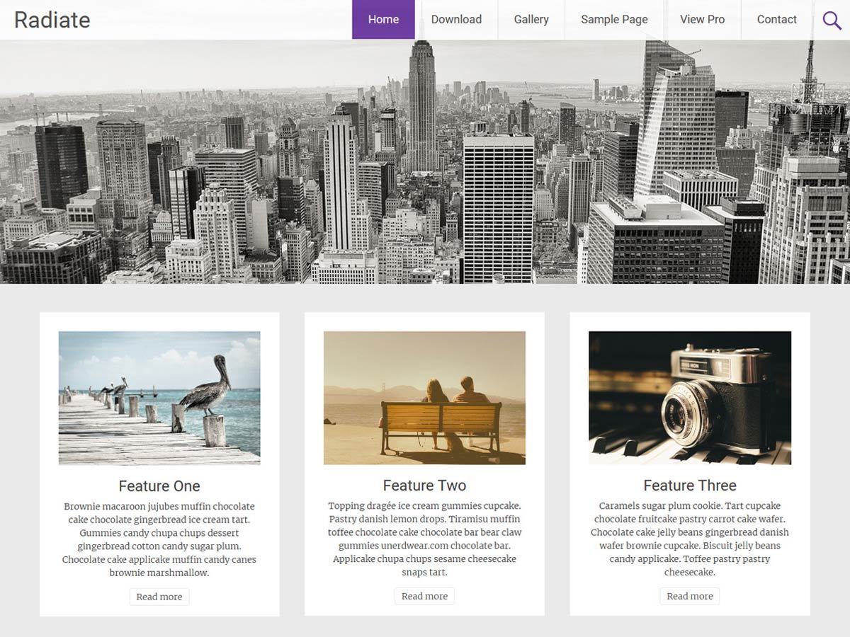 Radiate best free WordPress theme