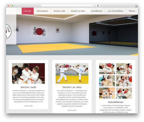 Radiate WordPress free download - judo-jujitsu-club-bussigny.ch