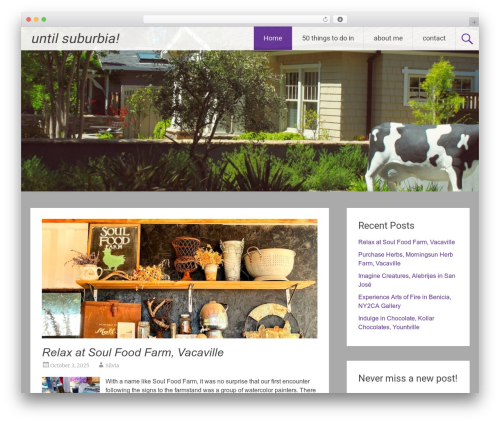 Radiate WordPress theme free download - untilsuburbia.com