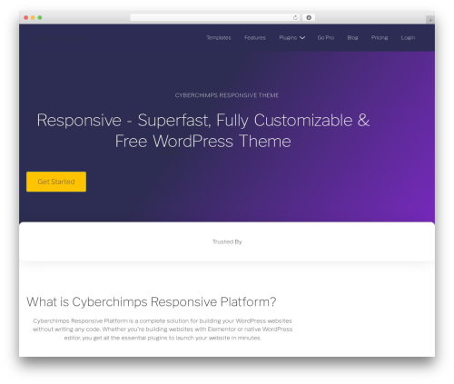 Eementor PRO (elementor-pro) WordPress plugin - cyberchimps.com