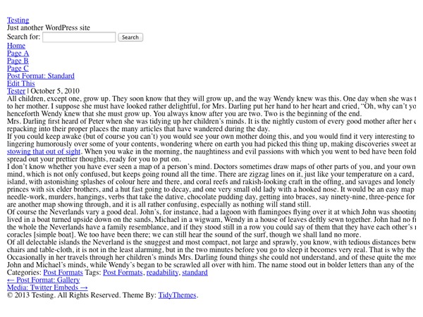 Rise WordPress website theme