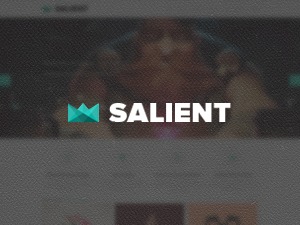 Salient (shared on wplocker.com) WordPress theme by ThemeNectar