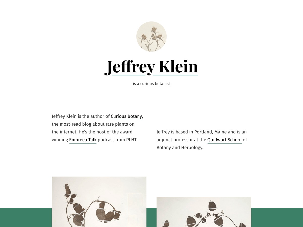 Seedlet WordPress gallery theme by Automattic