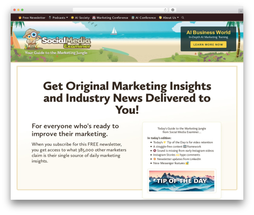 Social Media Examiner WordPress theme - socialmediaexaminer.com