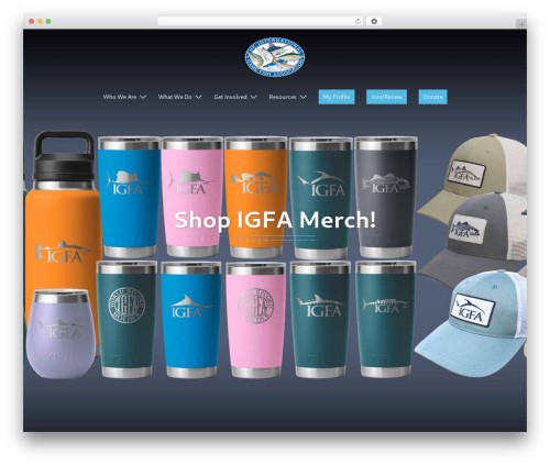 Sydney WordPress gaming theme - igfa.org Sydney WordPress gaming theme - igfa.org