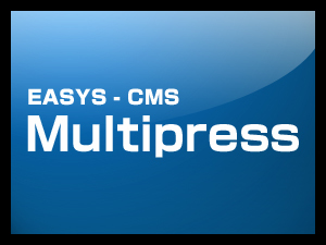 Theme WordPress RMG multipress