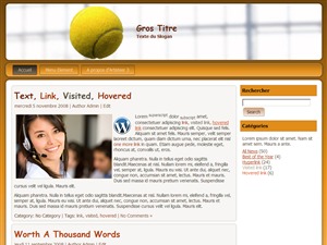 tennis_clup_poliveauv2_1000px theme WordPress
