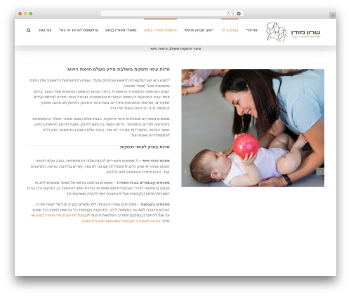 Theme WordPress Avada - bemaga.co.il/?page_id=308