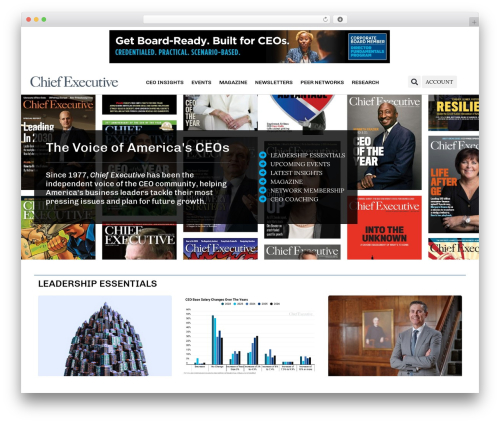 Theme WordPress Hello Elementor - chiefexecutive.net