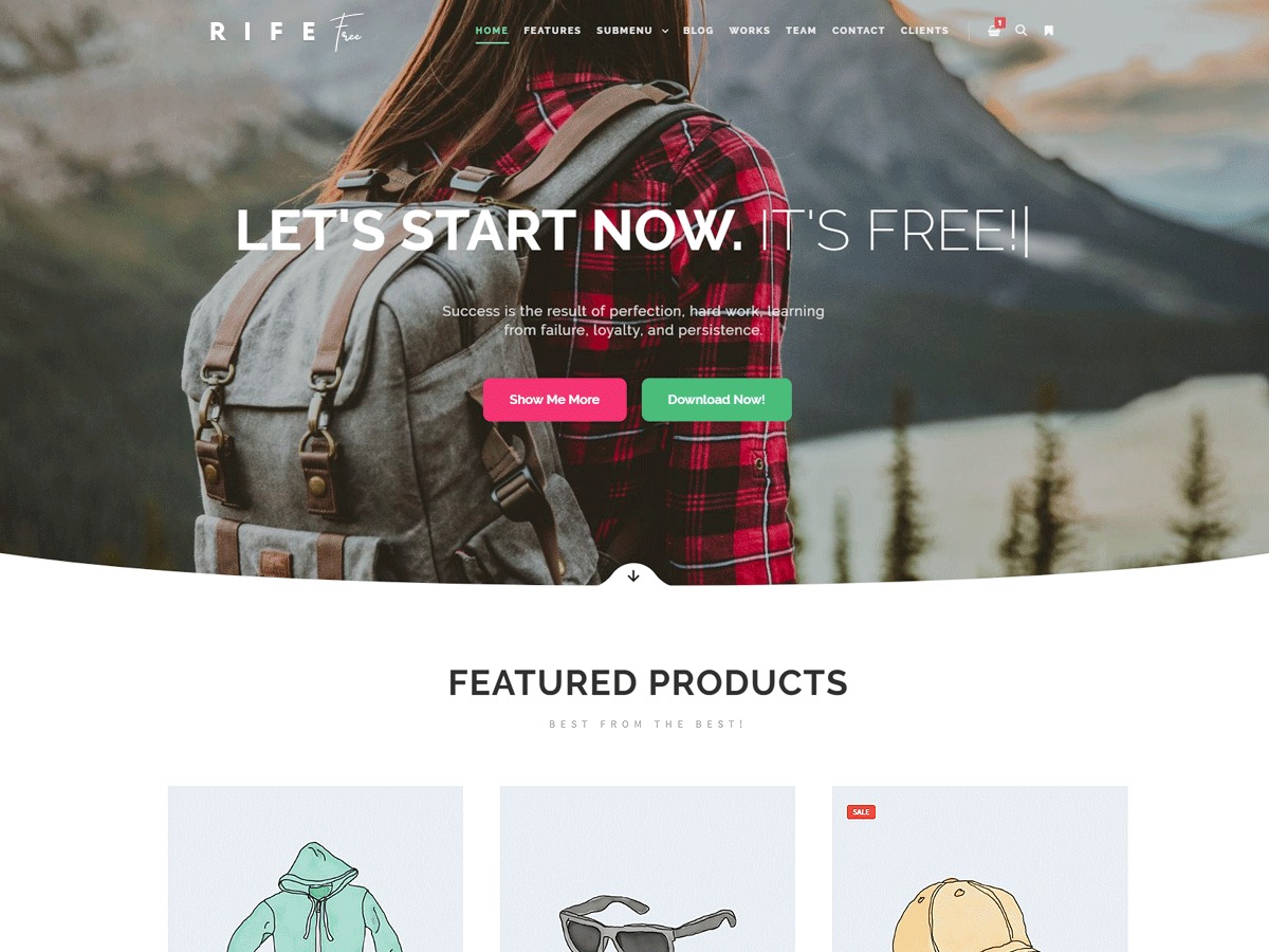 Theme WordPress Rife Free