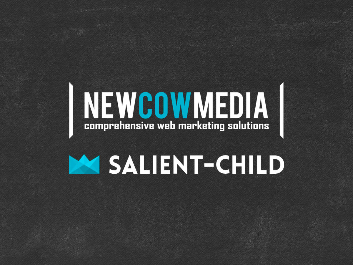 Theme WordPress Salient Child by ThemeNectar