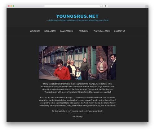 Twenty Seventeen free WordPress theme - youngsrus.net