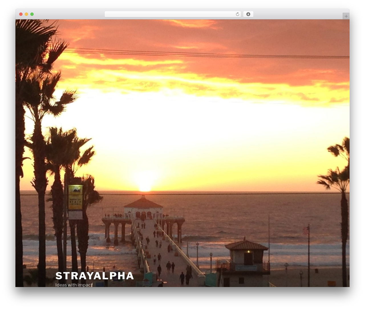 Twenty Seventeen free WordPress theme - strayalpha.com
