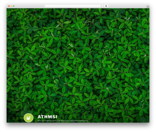 Twenty Seventeen free WP theme - athmsi.org