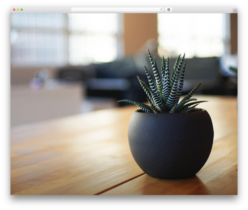 Twenty Seventeen theme WordPress free - greatsexover50.com