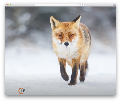 Twenty Seventeen theme WordPress free - cletisfox.com