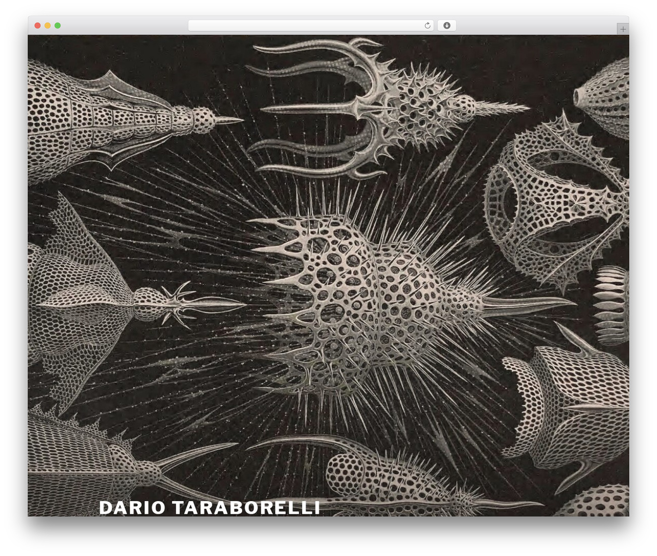 Twenty Seventeen WordPress theme free - nitens.org