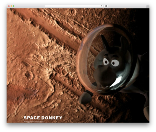 Twenty Seventeen WordPress theme download - spacedonkey.de