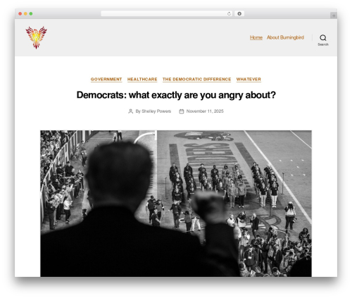 Twenty Twenty free WP theme - burningbird.net Twenty Twenty free WP theme - burningbird.net