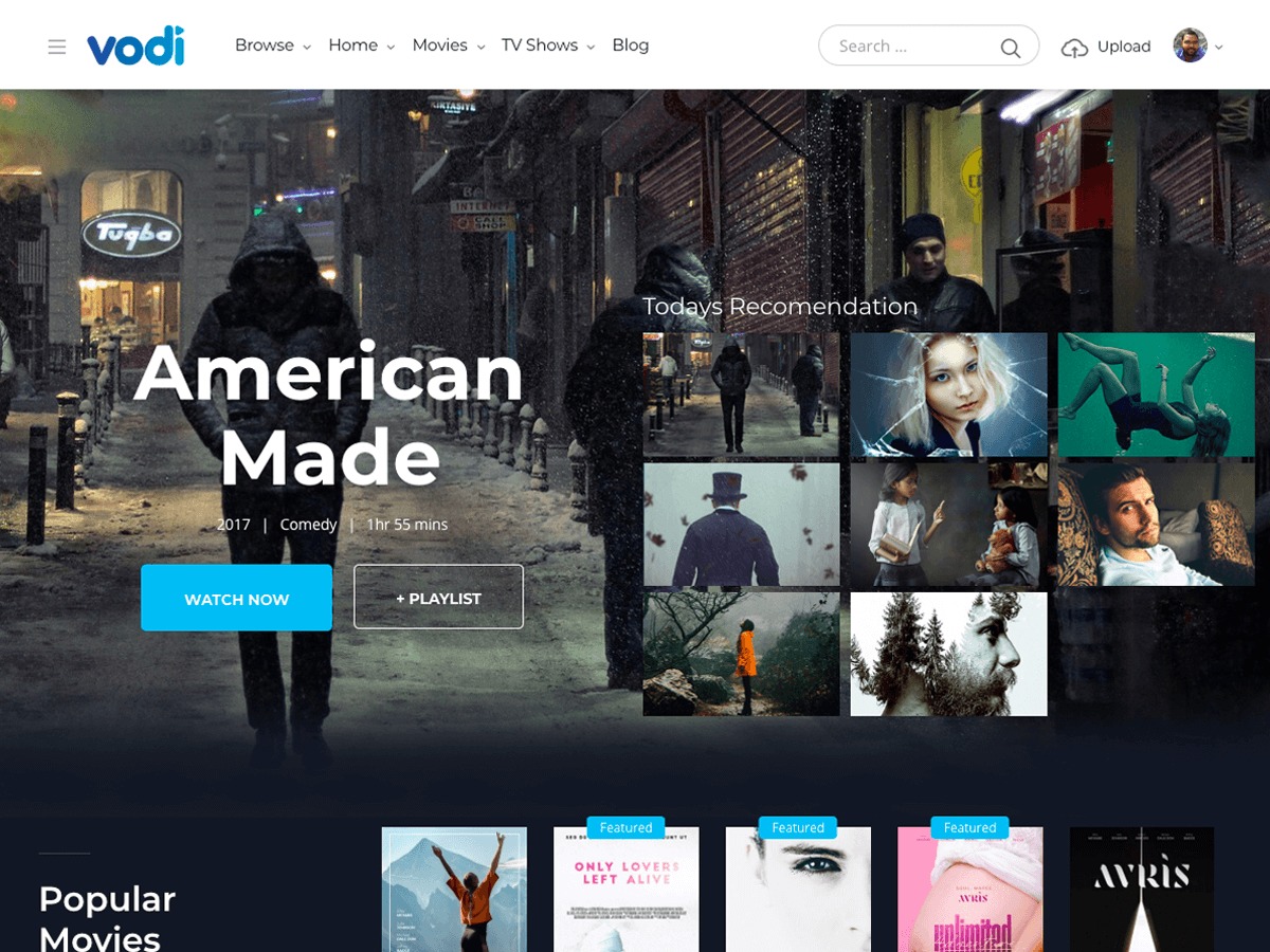 vodi WordPress theme