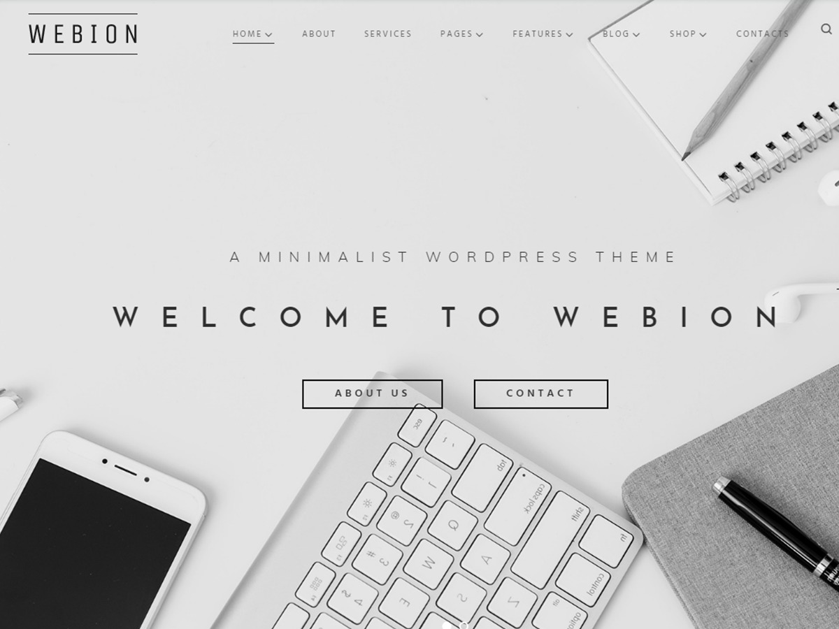 Webion best WordPress theme