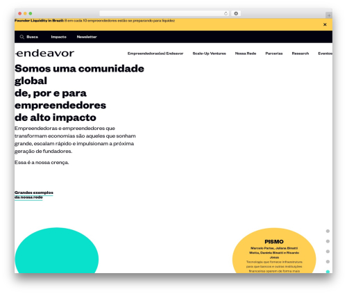 WordPress theme endeavor - endeavor.org.br