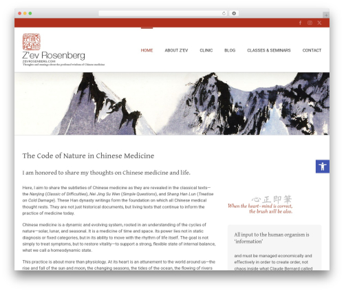 WordPress theme Avada - zevrosenberg.com