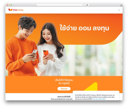 WordPress theme Avada - truemoney.com