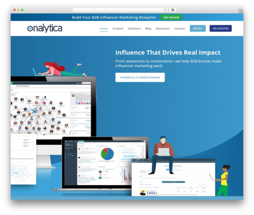 WordPress theme Divi - onalytica.com