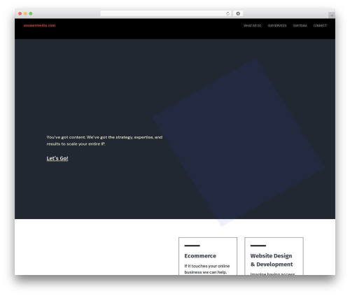 WordPress theme Divi - answermedia.com