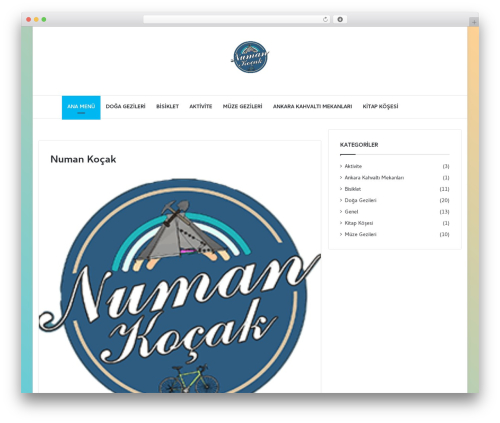 WP Rocket (wp-rocket) WordPress plugin - numankocak.com