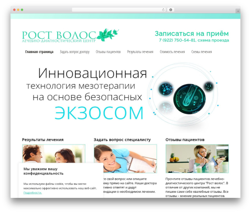 WordPress theme webfactory - rostvolos74.ru