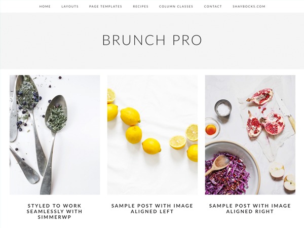 WordPress website theme Brunch Pro