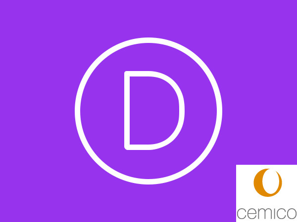 WordPress website theme Divi Child by Elegant Themes