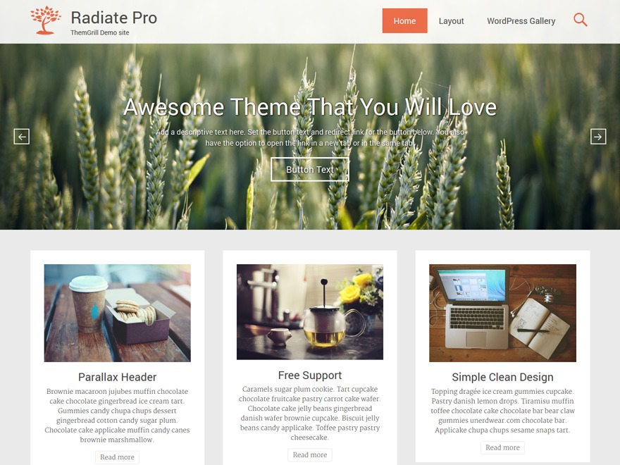 WordPress website theme Radiate Pro by ThemeGrill