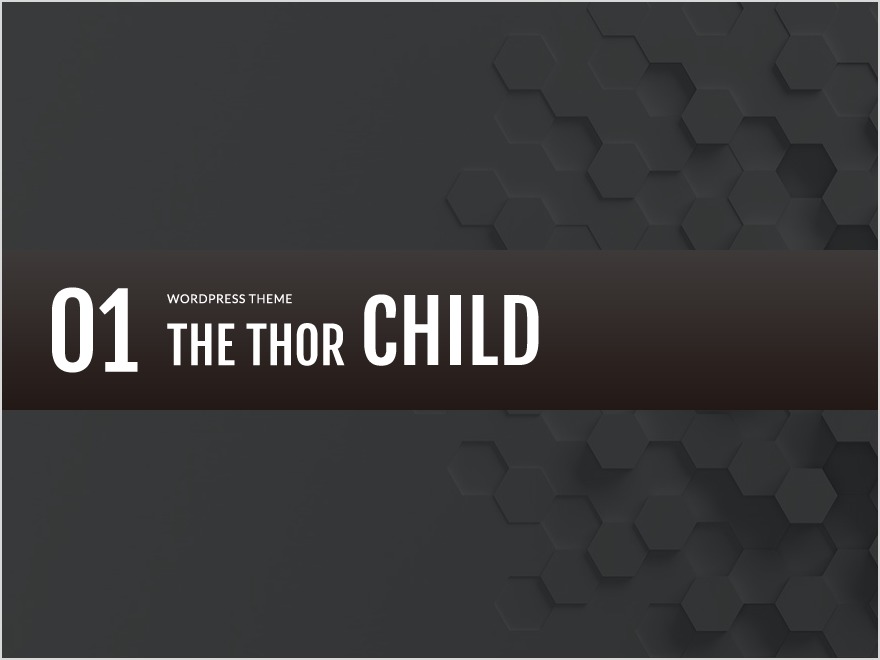 WordPress website theme THE THOR CHILD
