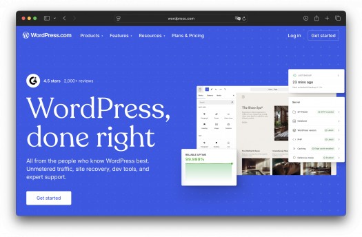 WordPress Black Friday 2025