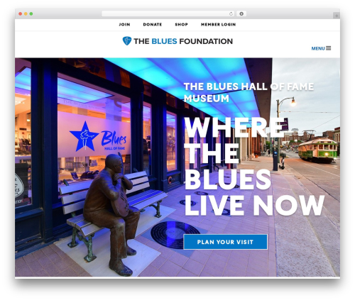 WP theme Avada - blues.org