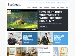 WP theme Bretheon by Muffin group