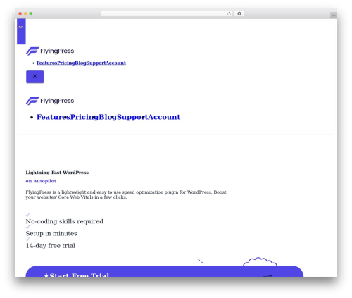 WP theme Bricks - flyingpress.com