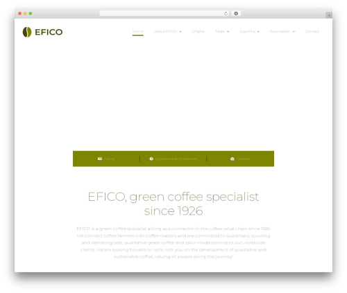 WP theme Avada - efico.com