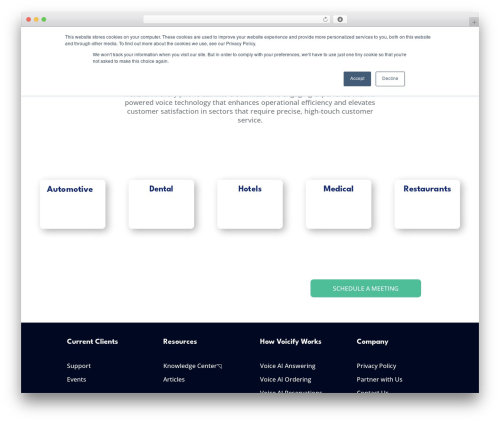 WP theme Divi - voicify.com