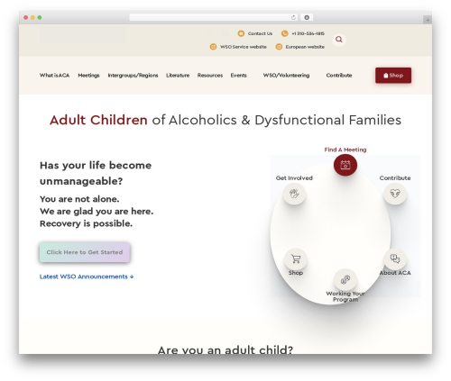 WP theme Divi - adultchildren.org